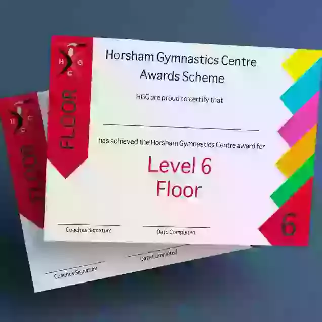 HGC Award Floor Level 6 Certificate & Medal